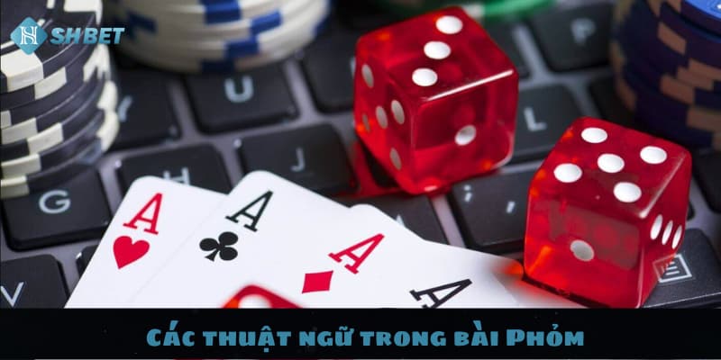 Các thuật ngữ trong bài Phỏm