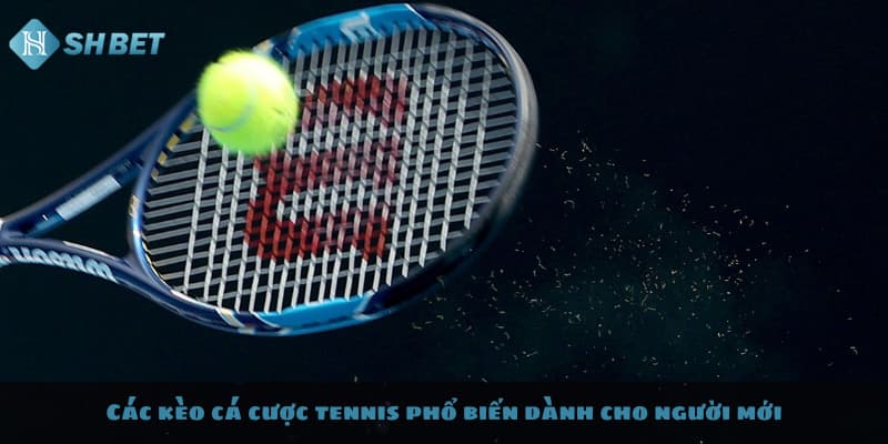 Các kèo cá cược tennis phổ biến dành cho người mới