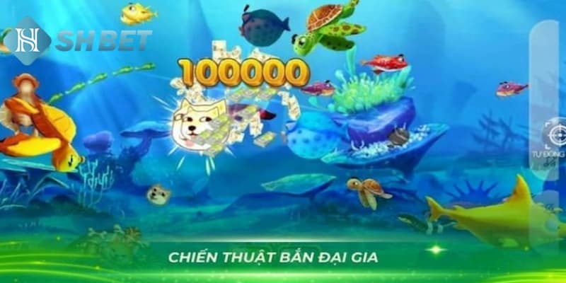 Chiến thuật săn Boss được nhiều người áp dụng thành công